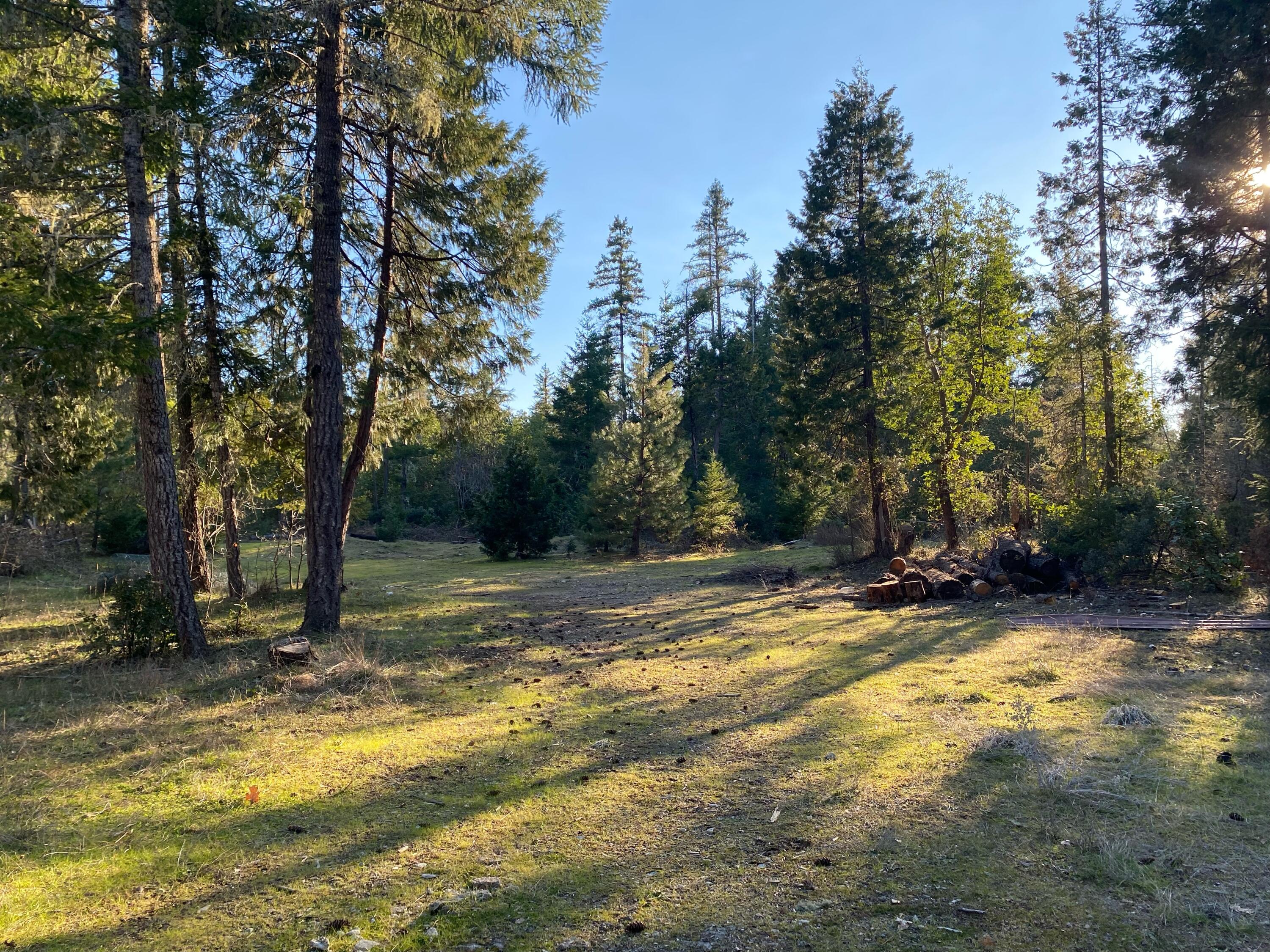 341 Robinson Corner Road Cave Junction, OR 97523 - Photo 2 of 5 IMG-3151
