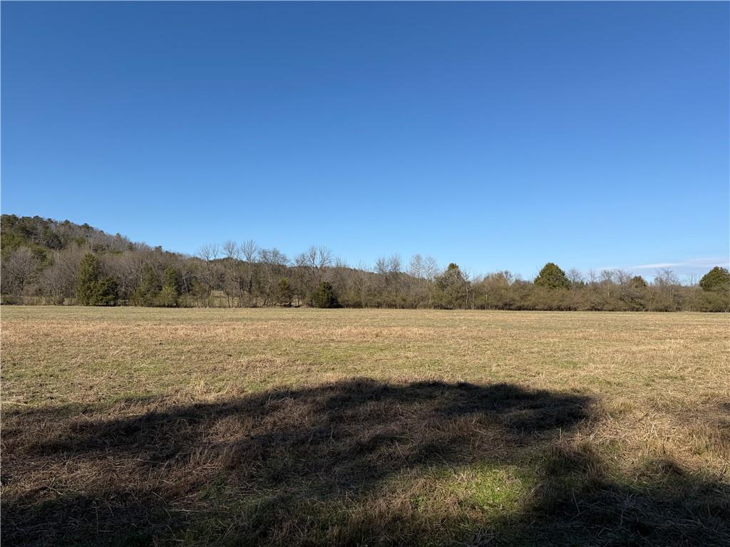 0 Liberty Church Road Northeast Ranger, GA 30734 - Photo 11 of 31 Gallery Image 11