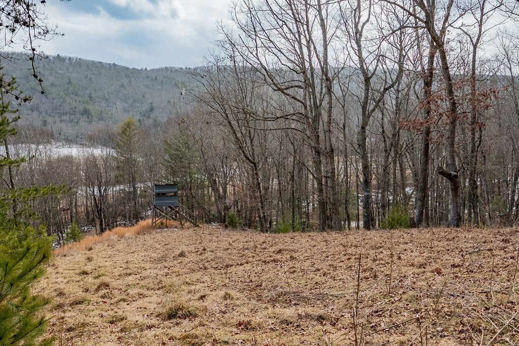 Tbd Spur Branch Road, Unit 4 Dublin, VA 24084 - Photo 40 of 85 Gallery Image 40