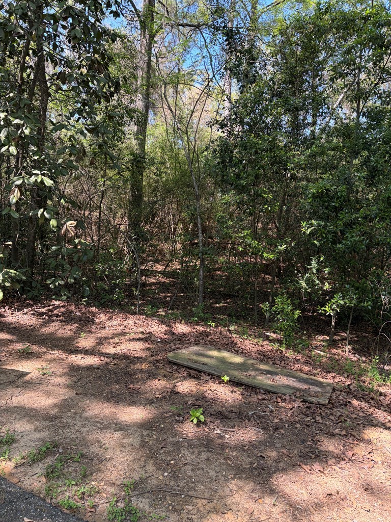 276 Wicksburg Road Newton, AL 36352 - Photo 51 of 51