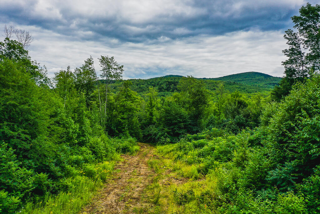 Lot 6 Blue View Phillips, ME 04966 - Photo 15 of 23 DJI_0026-HDR