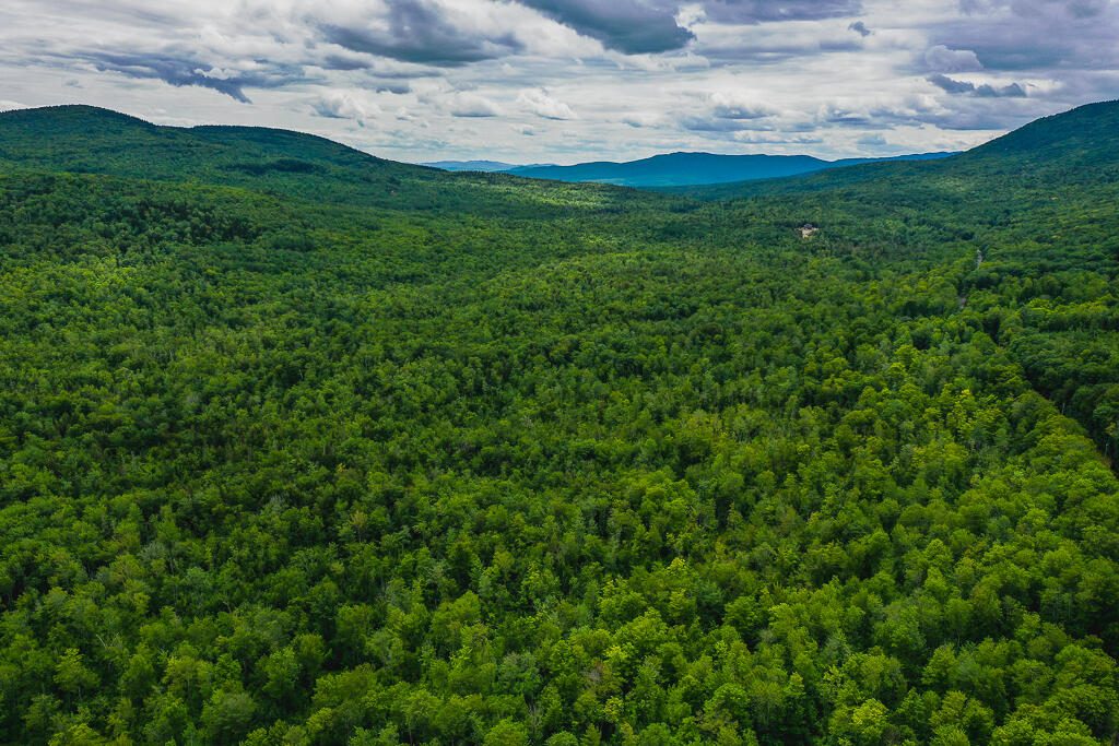Lot 6 Blue View Phillips, ME 04966 - Photo 8 of 23 DJI_0008-HDR