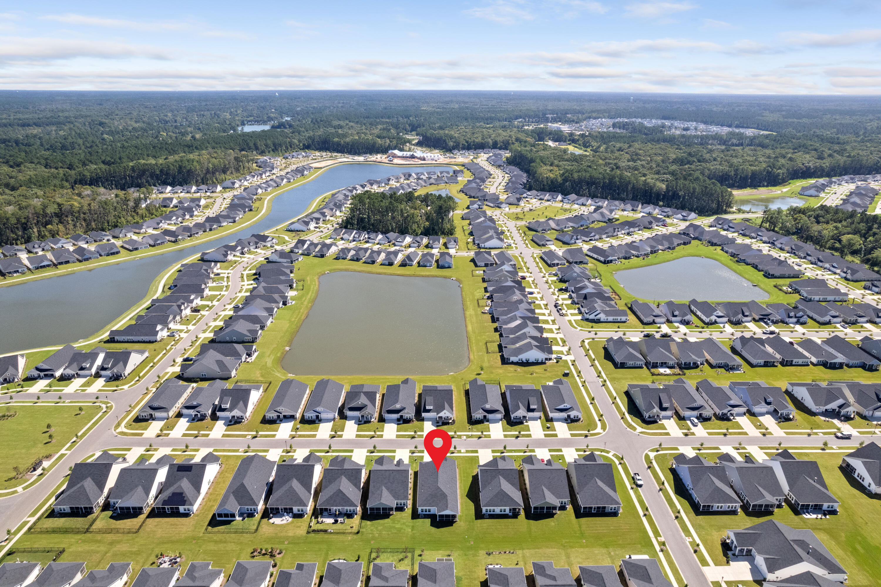 1133 Cooper Point Street Ridgeville, SC 29472 - Photo 7 of 27 Ariel View