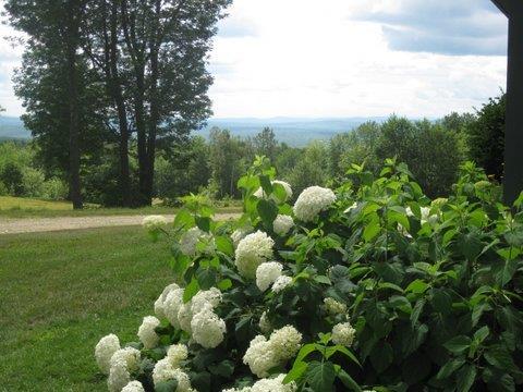 417 Ryerson Hill Road South Paris, ME 04281 - Photo 36 of 36 Photo