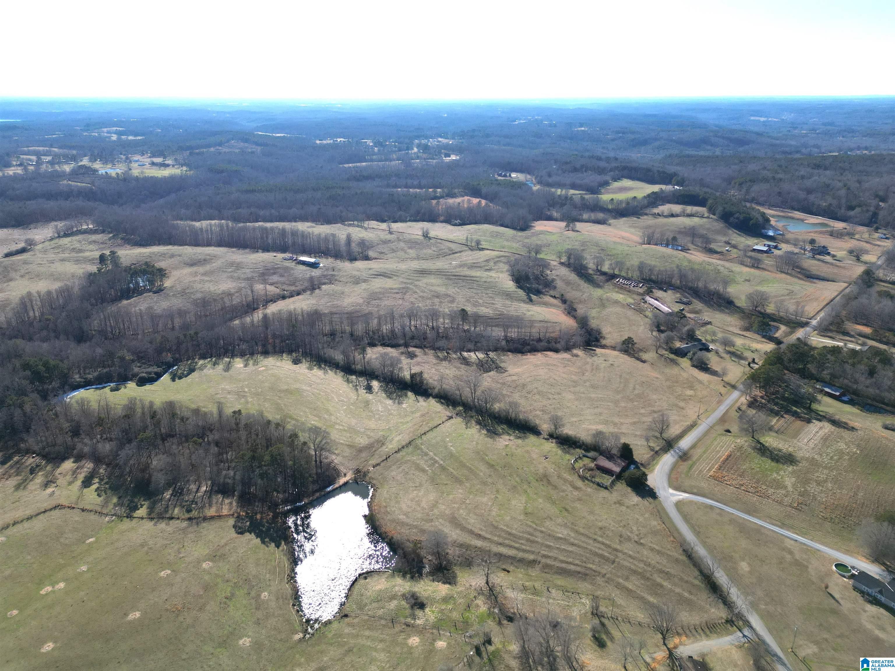 682 County Road 832 Logan, AL 35098 - Photo 2 of 48