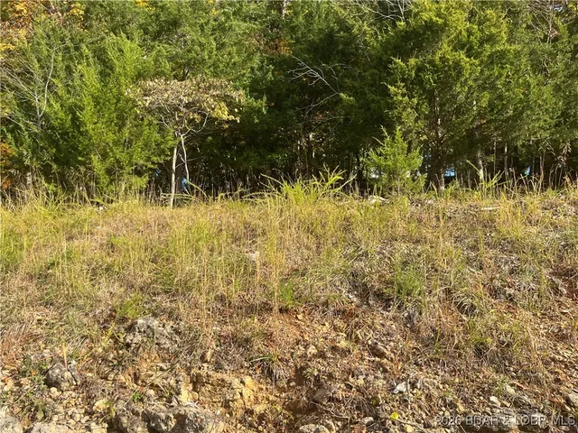 $5,000 | 521 Palisades Drive, Four Seasons, MO 65049