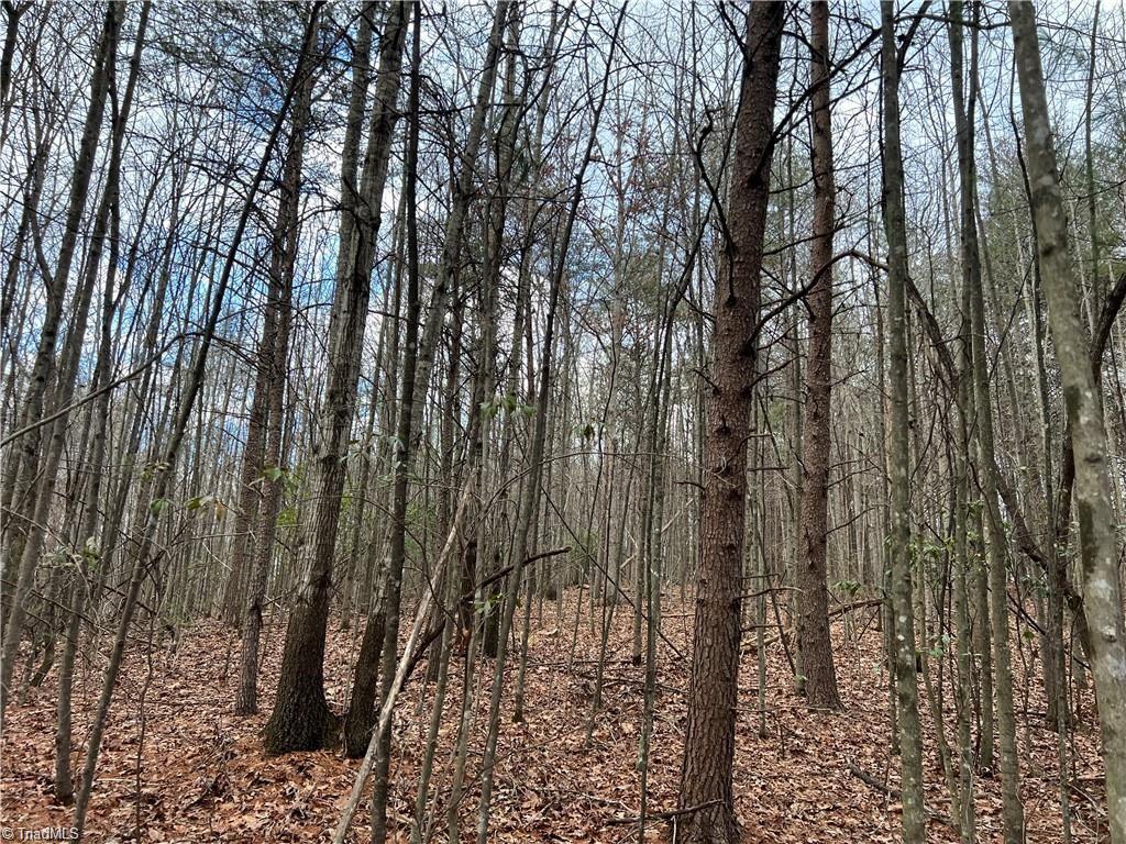 Lot 11 Fisher Valley Road Dobson, NC 27017 - Photo 2 of 5 Gallery Image 2