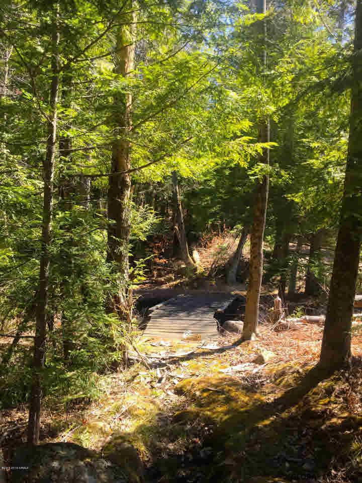 100 Fodder Road Stony Creek, NY 12878 - Photo 23 of 27 Photo 23