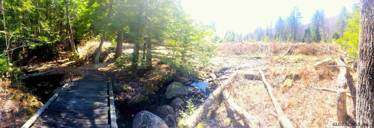 100 Fodder Road Stony Creek, NY 12878 - Photo 24 of 27 Photo 24