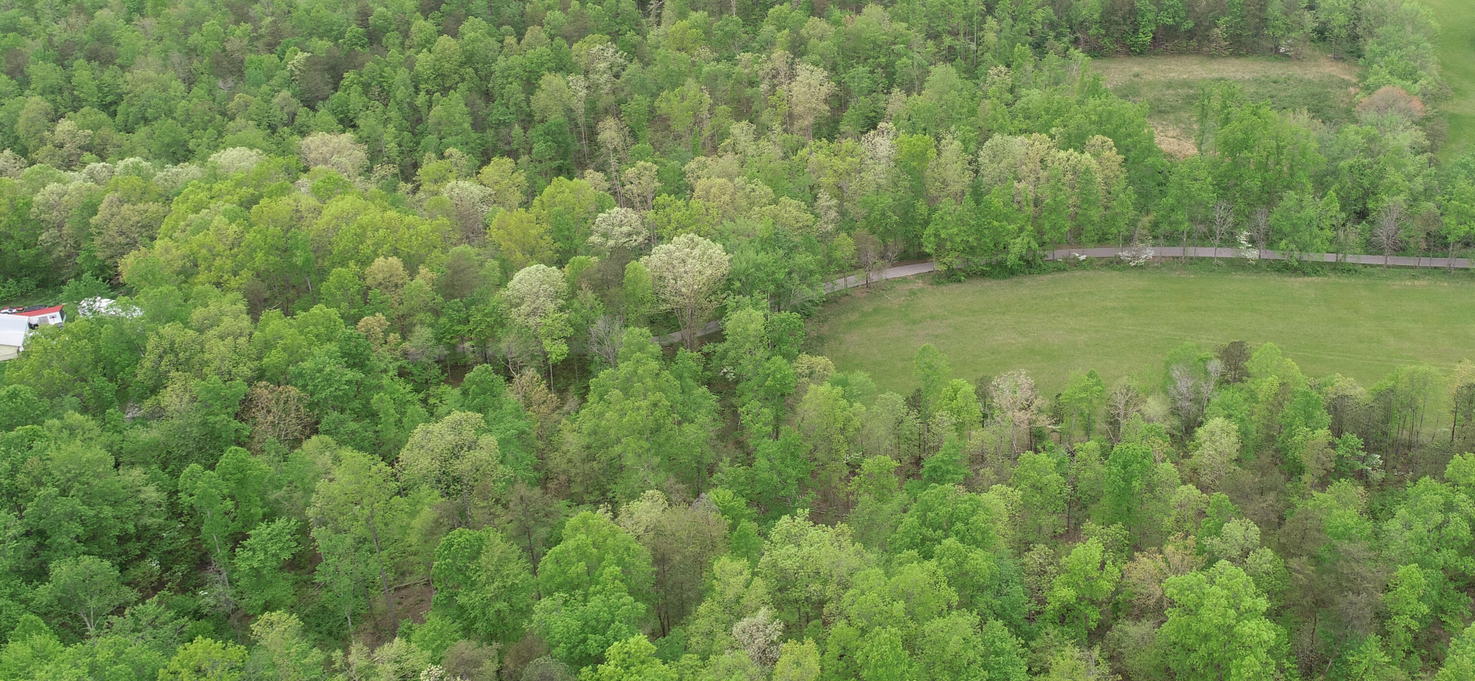 Lot #3 Conway Road McKee, KY 40447 - Photo 5 of 9 DJI_0929 copy