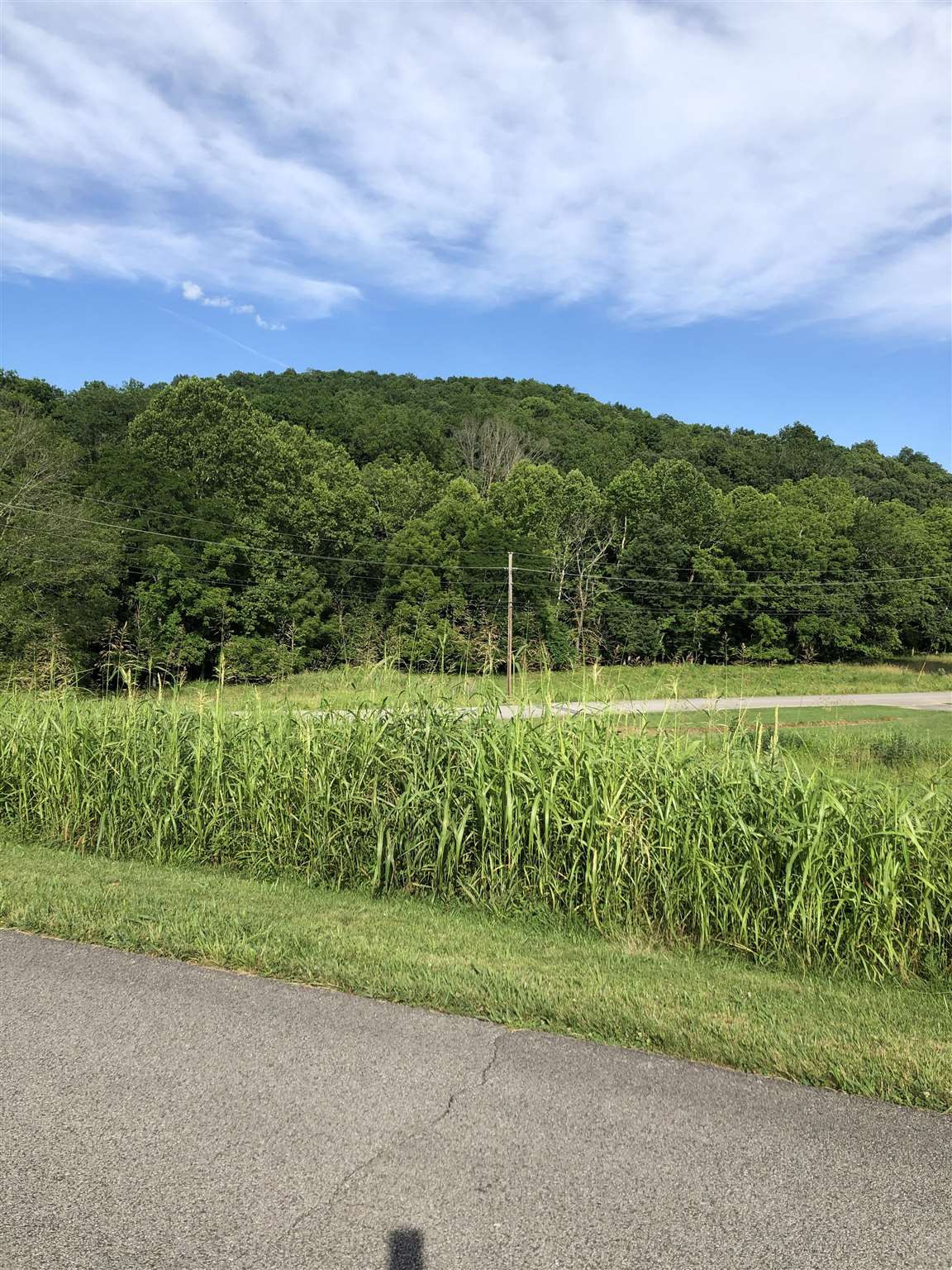 170 Springport Ferry Road Perry Park, KY 40363 - Photo 11 of 15 Gallery Image 11