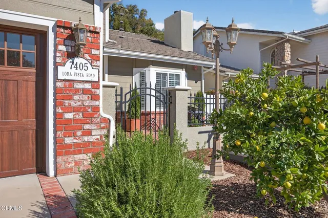 a living room with furniture a chandelier and a fireplace