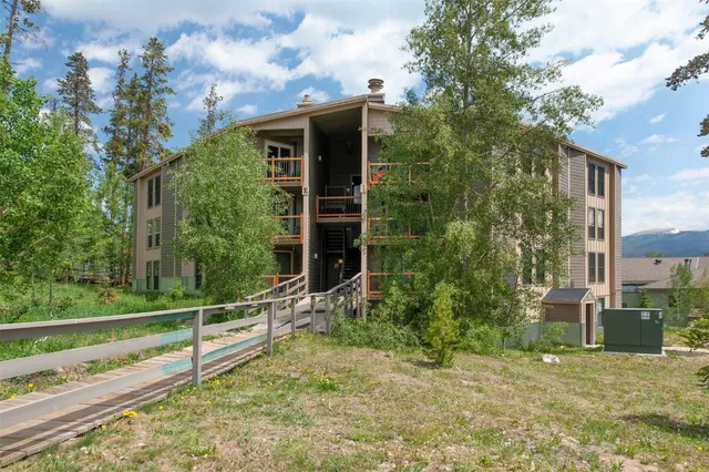 a view of backyard with potted plants and large tree
