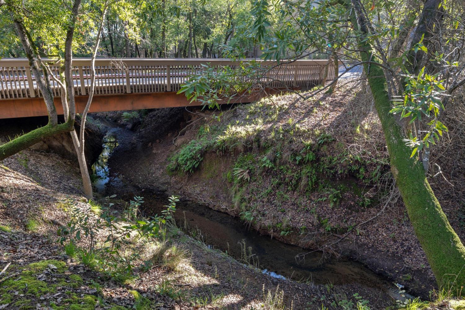 803 Indian Way Novato, CA 94949 - Photo 13 of 61