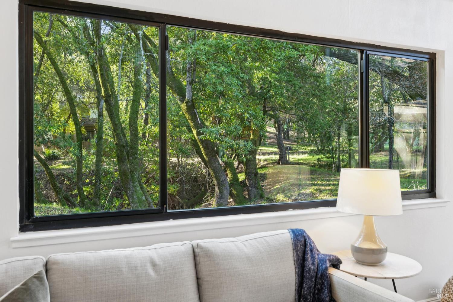 803 Indian Way Novato, CA 94949 - Photo 6 of 61