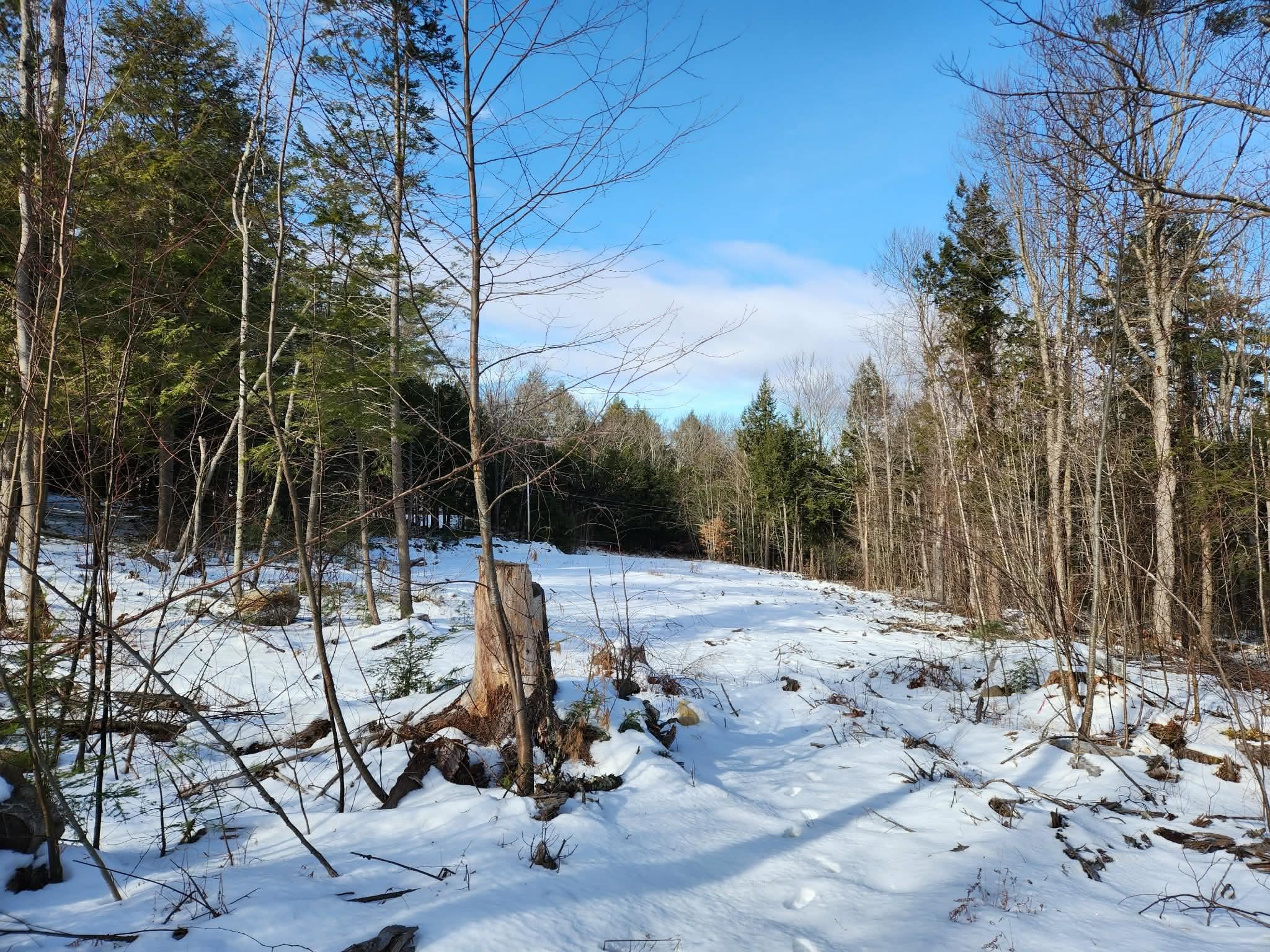 0 Munsey Road, Unit 123106 Gilmanton, NH 03237 - Photo 26 of 30 Gallery Image 26