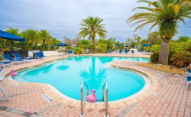 a view of a swimming pool with a lounge chairs