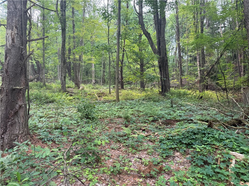 0 Ringwood Road Freeville, NY 13068 - Photo 18 of 35 Gallery Image 18