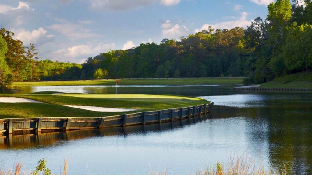280 Forest Pines Road Aiken, SC 29803 - Photo 17 of 29 Gallery Image 17