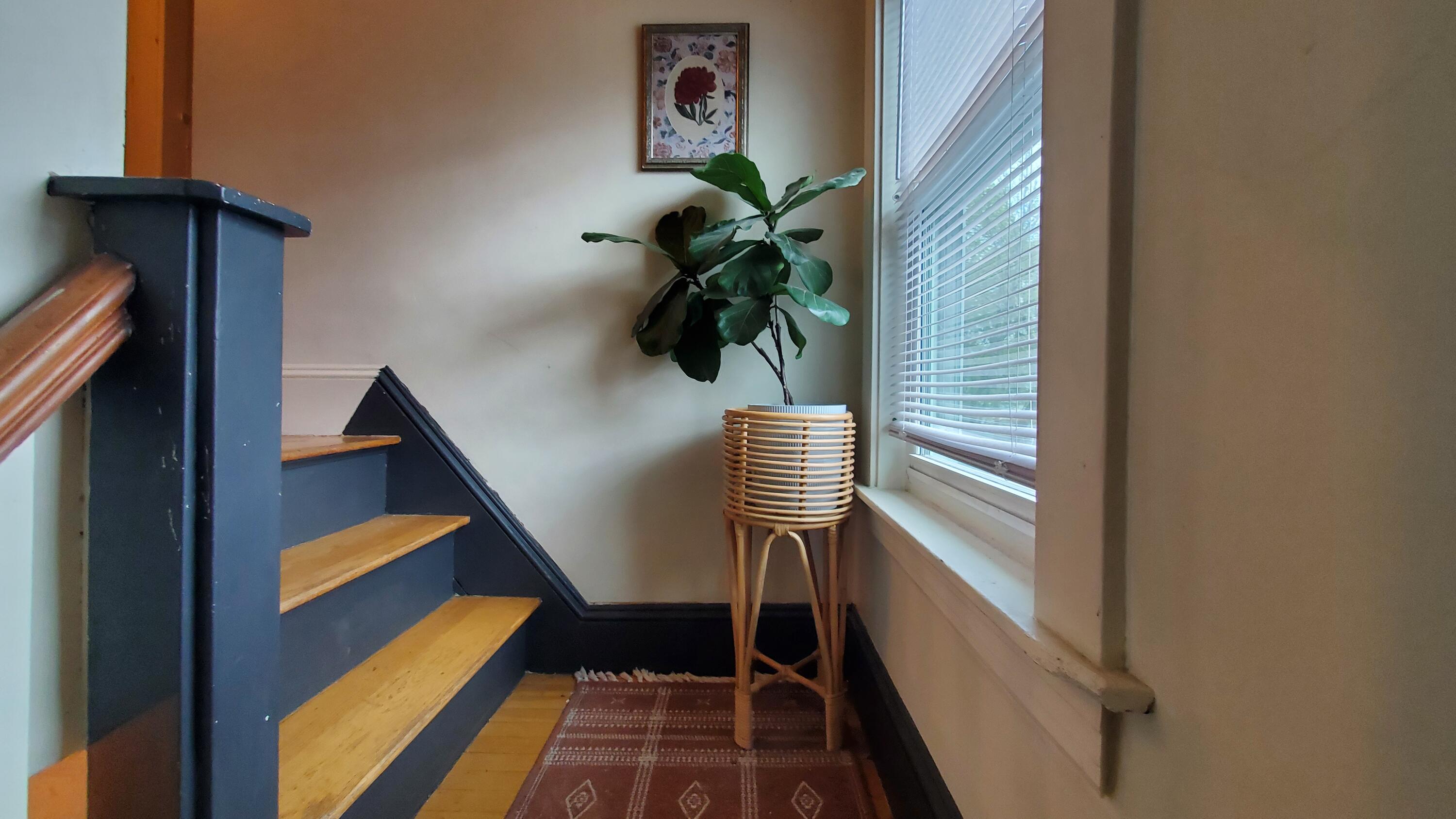 84 14th Street Bangor, ME 04401 - Photo 30 of 61 20260512_150535