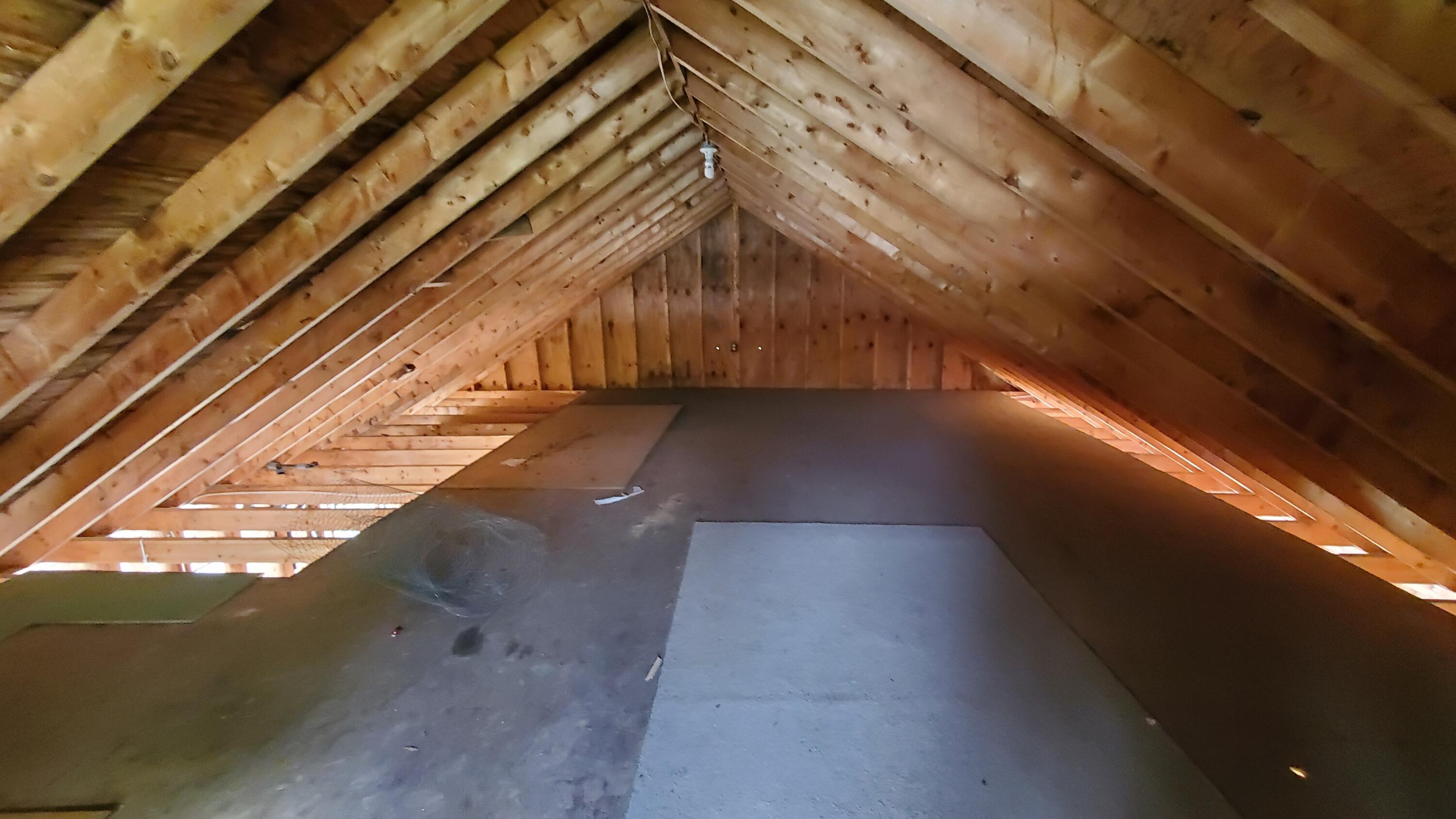 84 14th Street Bangor, ME 04401 - Photo 50 of 61 20260512_145631
