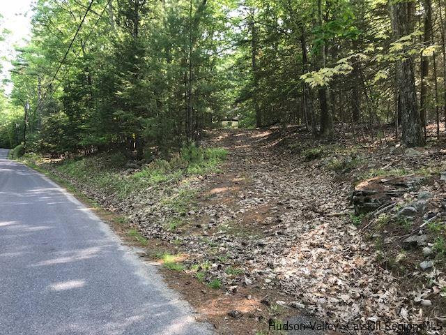 611 Buck Road Accord, NY 12404 - Photo 2 of 9 a view of a forest with trees in the background