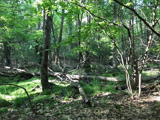 611 Buck Road Accord, NY 12404 - Photo 6 of 9 a backyard of a house with lots of green space