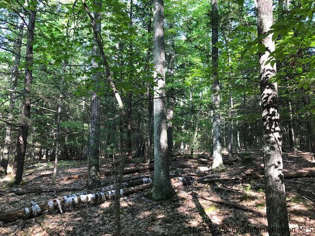 611 Buck Road Accord, NY 12404 - Photo 8 of 9 a view of forest