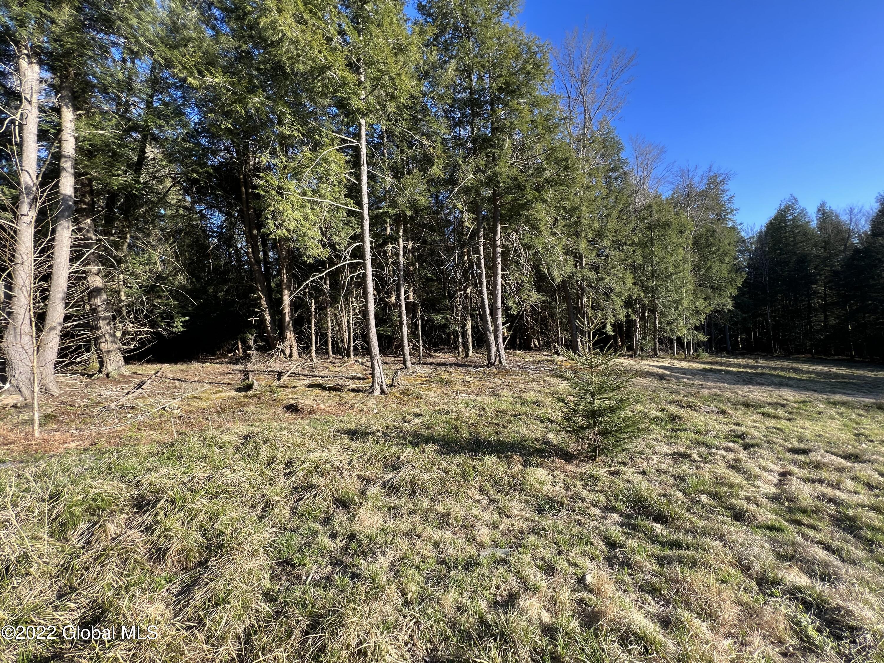 157 Crystal Brook Path Jefferson, NY 12093 - Photo 14 of 19 4D418923-0F22-4C79-8D52-19F462D05031