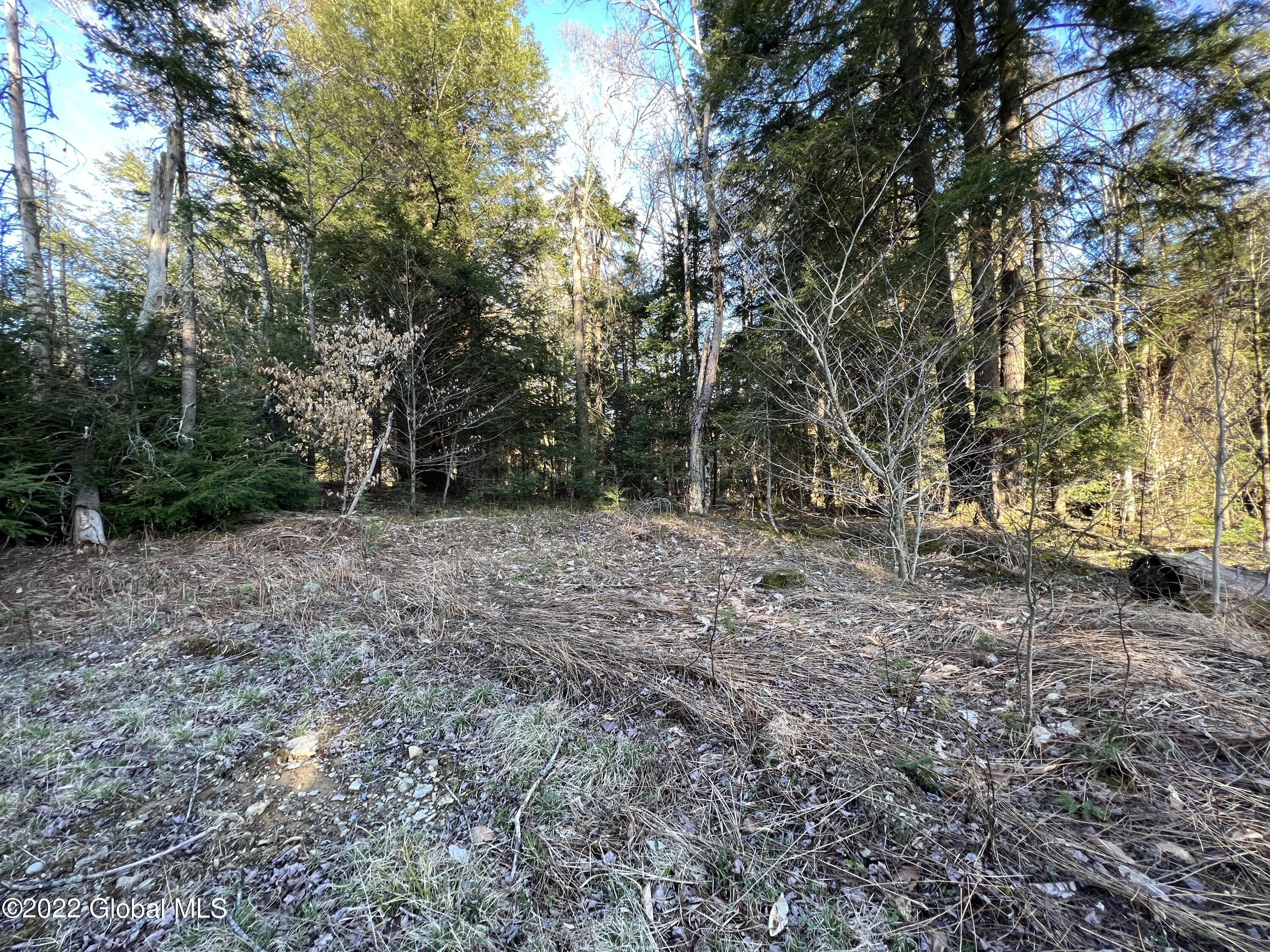 157 Crystal Brook Path Jefferson, NY 12093 - Photo 16 of 19 8F0DDB2F-71B5-480C-BA70-66A72362D650