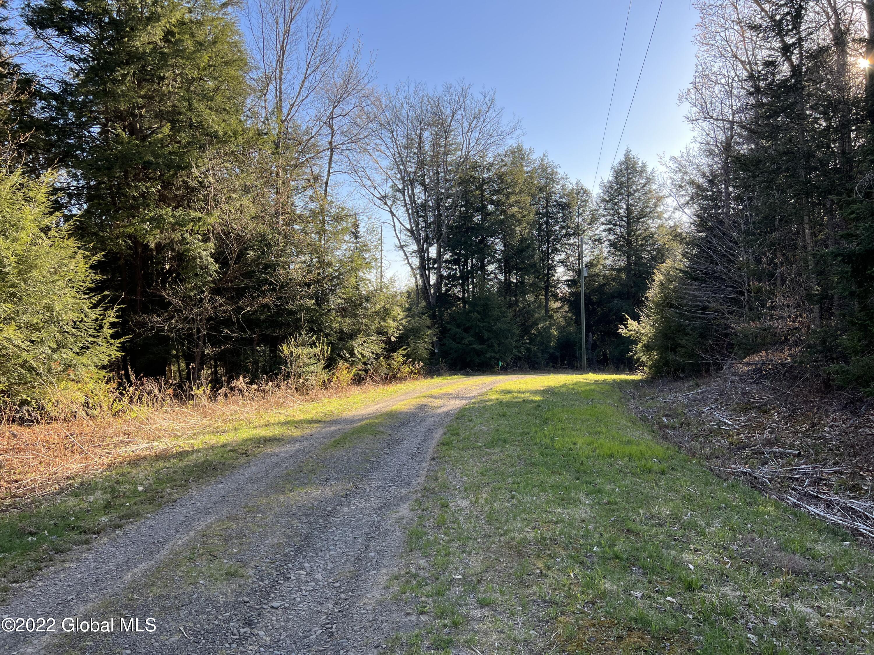 157 Crystal Brook Path Jefferson, NY 12093 - Photo 17 of 19 54FA0639-AD76-4B9F-A0C4-2EE2DAE2DF50