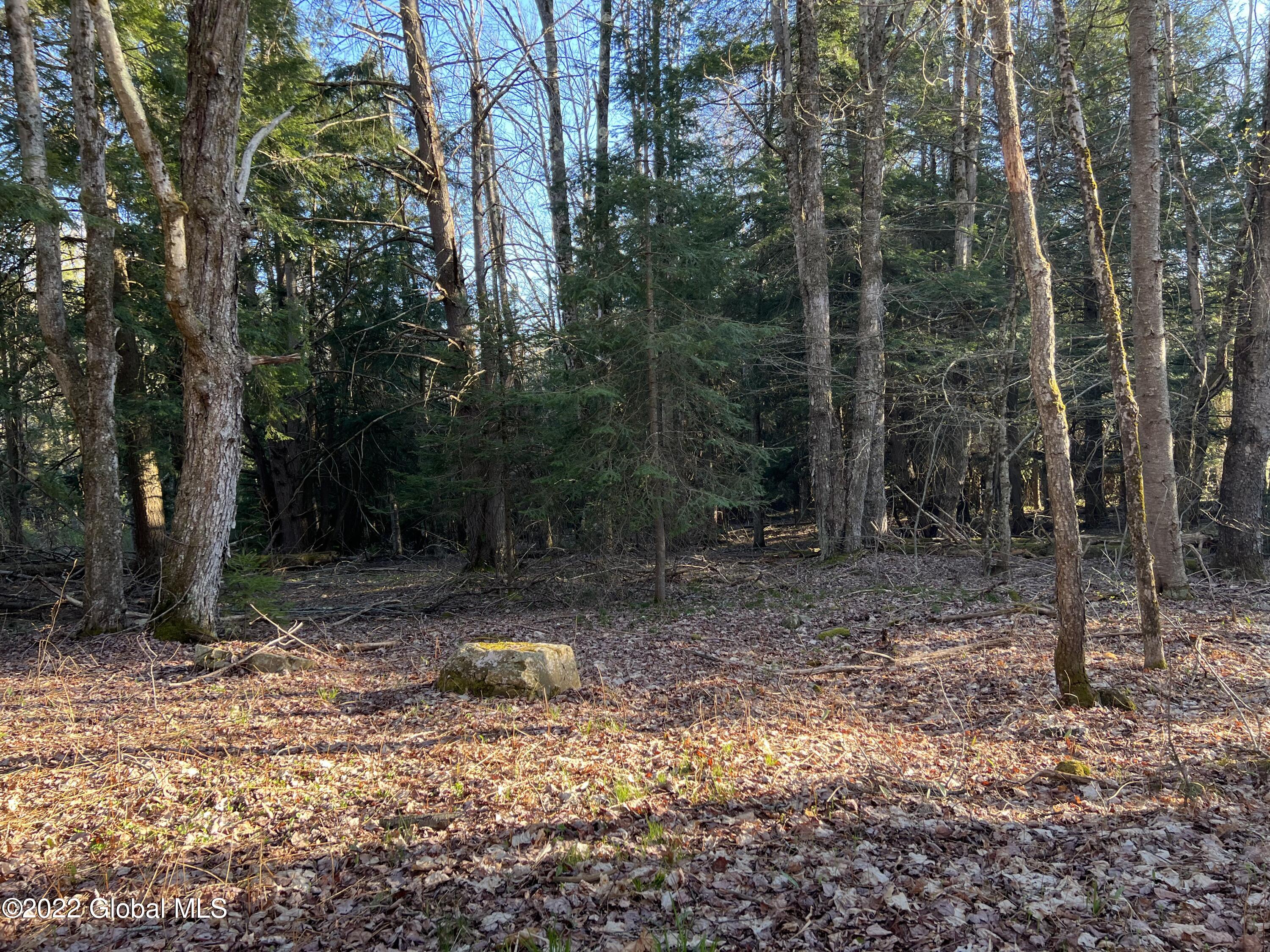 157 Crystal Brook Path Jefferson, NY 12093 - Photo 18 of 19 1AFD20CF-C5B9-4156-AA85-CEC0A7E7F068