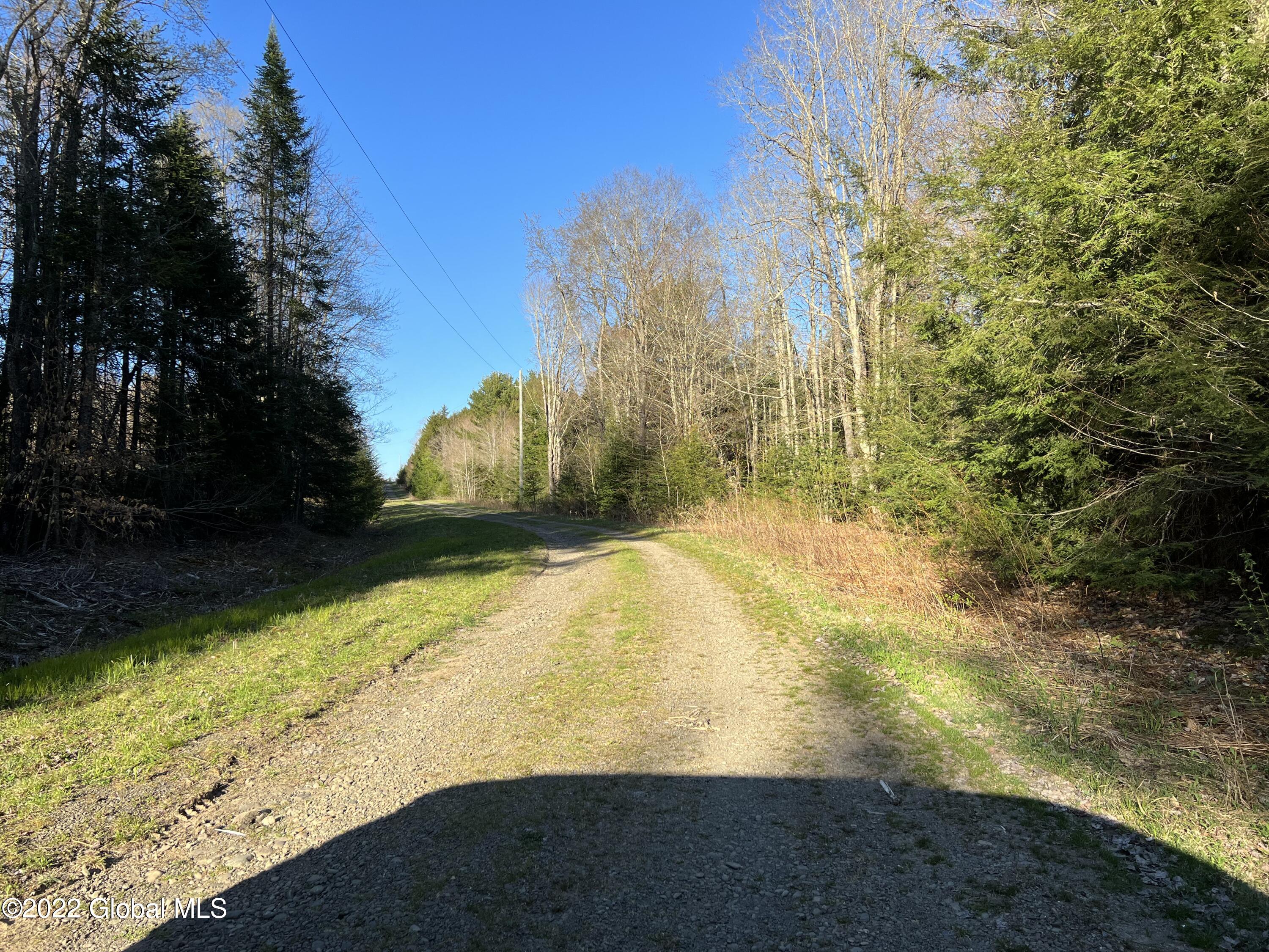 157 Crystal Brook Path Jefferson, NY 12093 - Photo 4 of 19 75C903C3-D16F-4C4D-AB4D-050D4929E54F