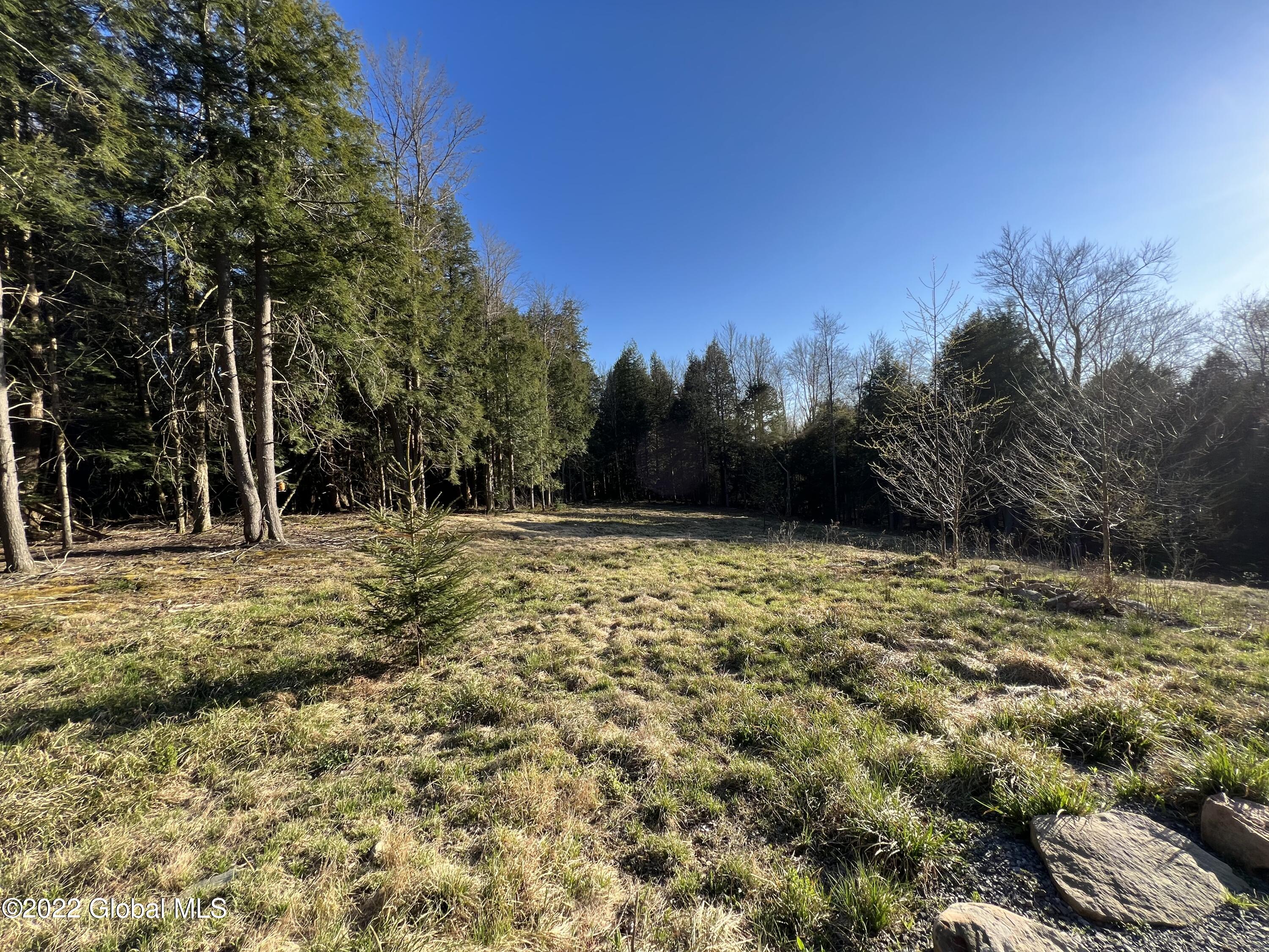 157 Crystal Brook Path Jefferson, NY 12093 - Photo 7 of 19 793327D1-E14F-46FC-8666-A989503ACEF4