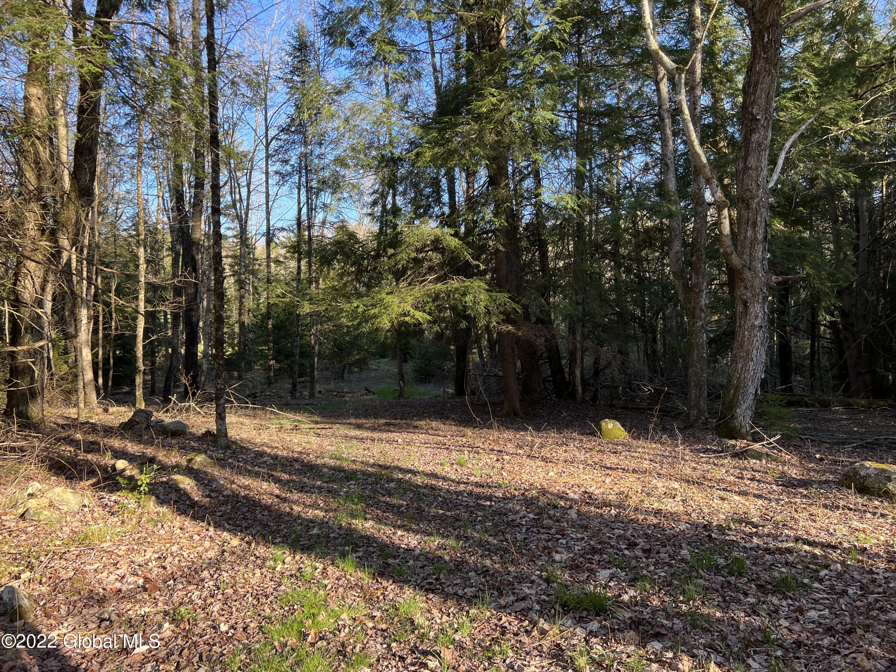 157 Crystal Brook Path Jefferson, NY 12093 - Photo 10 of 19 42B4F295-DCA2-4731-AB13-DC0FB1DD0791