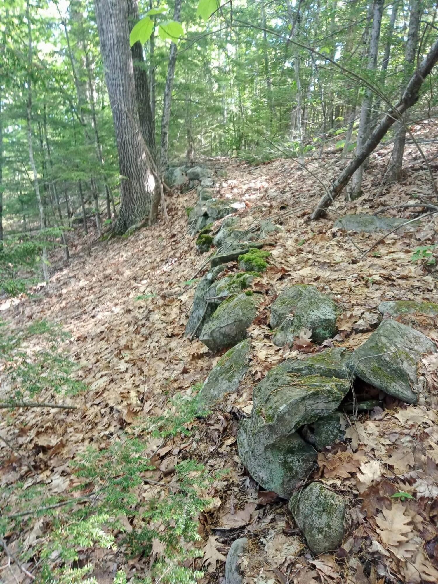 5-009 Ridge School Road, Unit 5009A Liberty, ME 04949 - Photo 4 of 5 1000002113