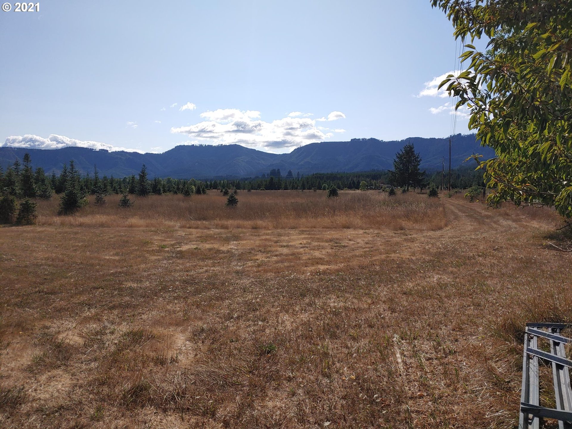 1760 Main Camas Road Camas Valley, OR 97416 - Photo 2 of 7 a view of lake and mountain