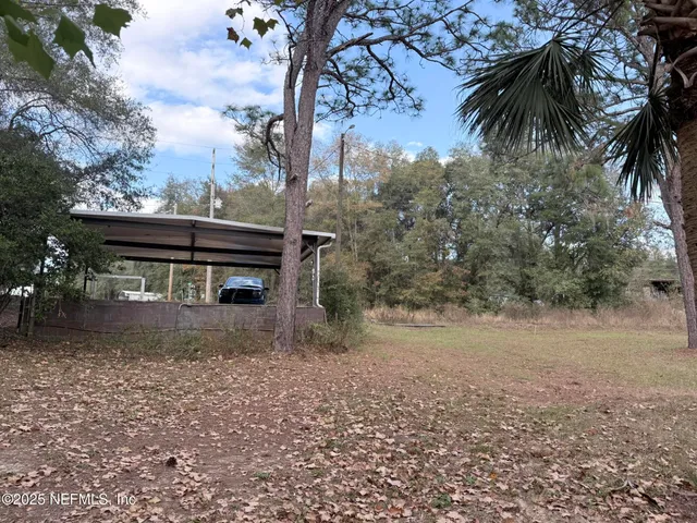 a view of a yard with a tree