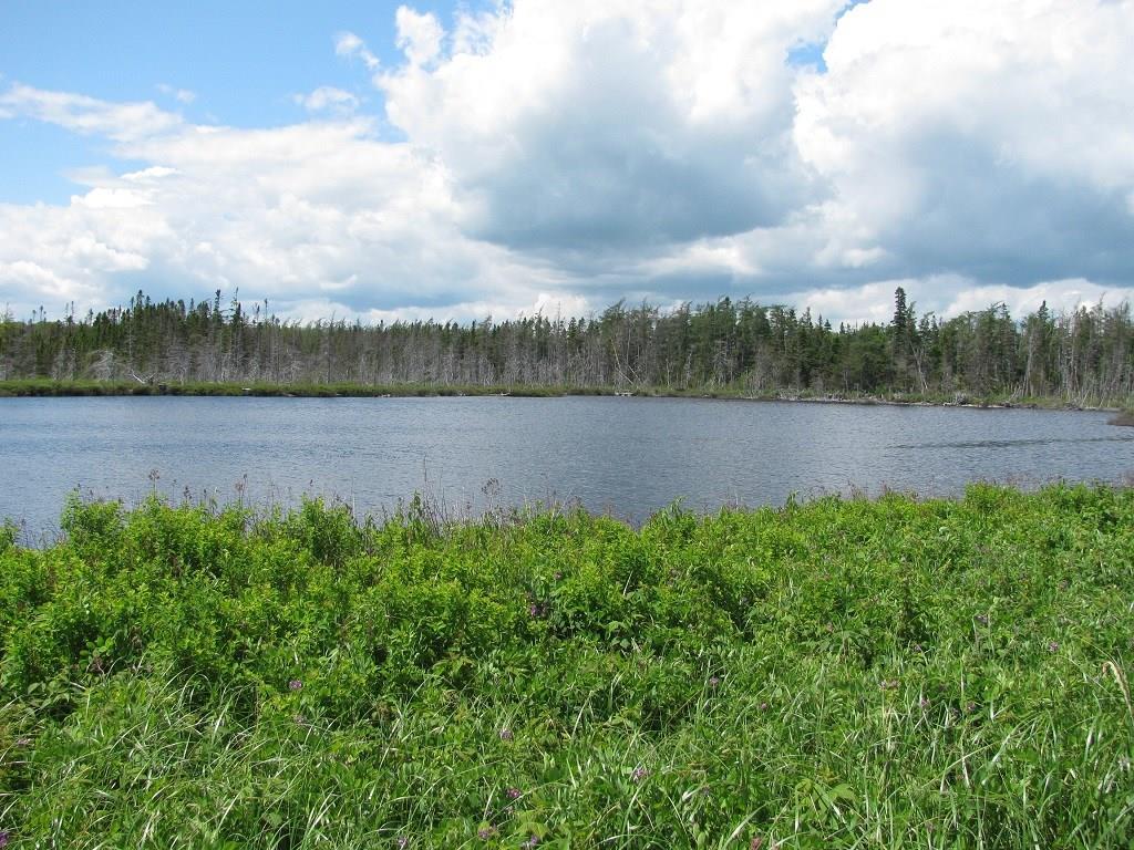 43 C Loon Point Road Jonesport, ME 04649 - Photo 20 of 35 Photo