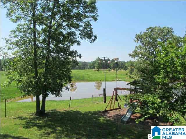 4100 Blue Cutt Road Pell City, AL 35128 - Photo 5 of 32