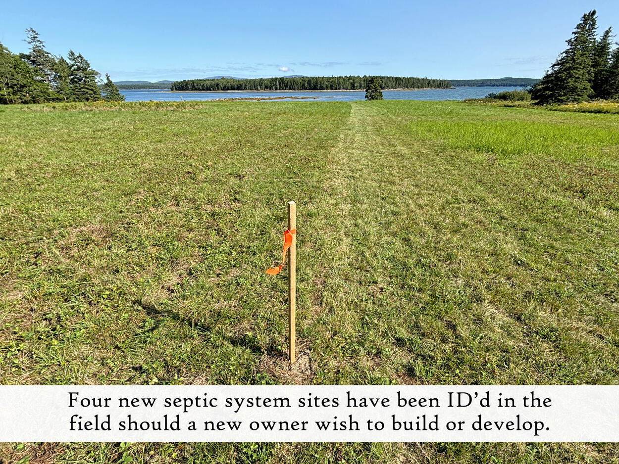 607 Oak Point Road Trenton, ME 04605 - Photo 154 of 187 Field (4), label