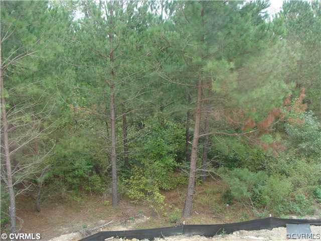 13101 Eppes Falls Road Chesterfield, VA 23838 - Photo 6 of 6 Yard/Garden