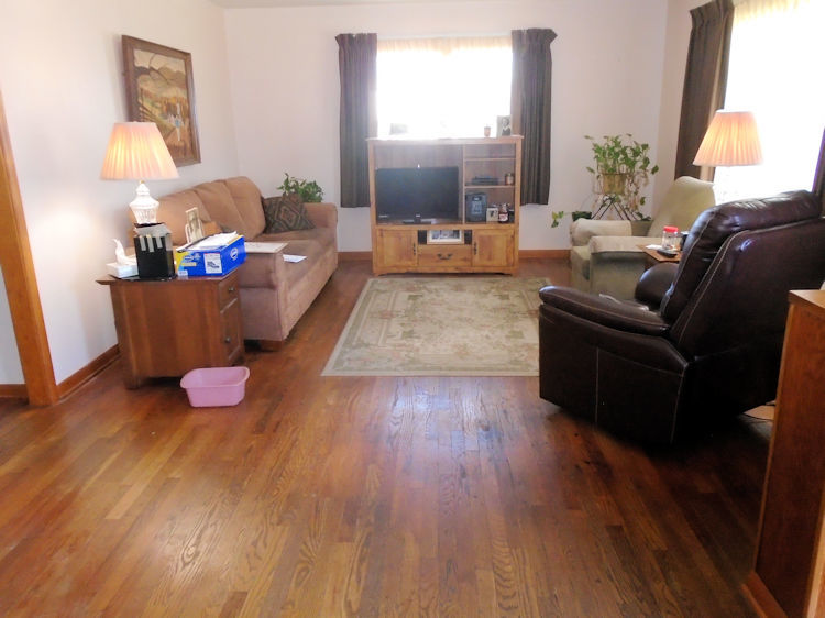 1040 North 3rd Street Rochelle, IL 61068 - Photo 3 of 9 a living room with furniture and a wooden floor