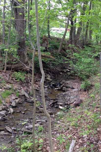 Lot B Lot B Chambers Road Beaver Dams, NY 14812 - Photo 1 of 1 Gallery Image 1