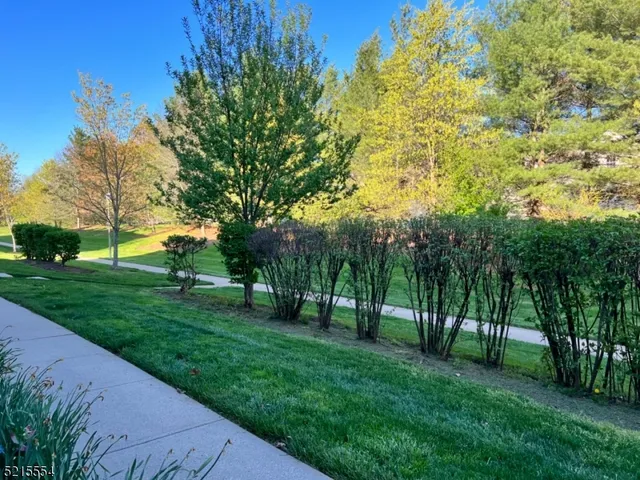 a view of a park with trees in the background