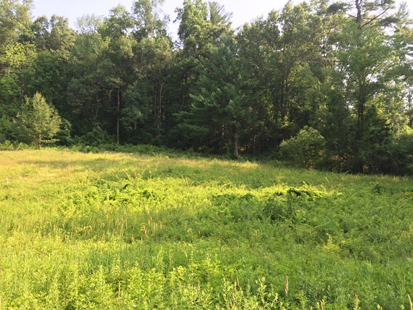 31 Newton Road Amesbury, MA 01913 - Photo 1 of 3 Gallery Image 1