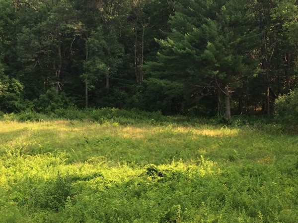 31 Newton Road Amesbury, MA 01913 - Photo 2 of 3 Gallery Image 2