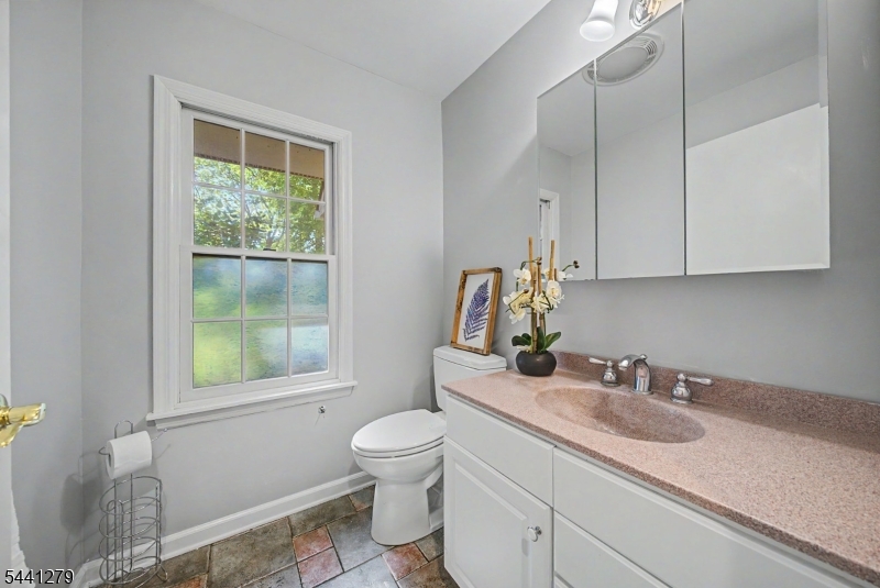 44 Glen Road Mountain Lakes, NJ 07046 - Photo 21 of 45