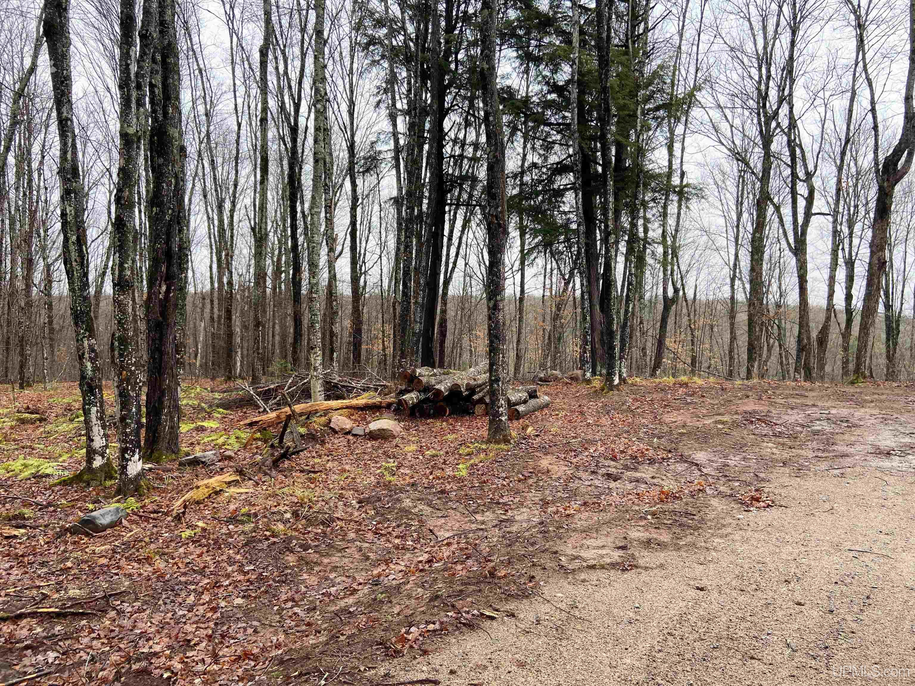Tbd West Tamarack Lake Road, Unit LOT 5 Watersmeet, MI 49969 - Photo 4 of 66