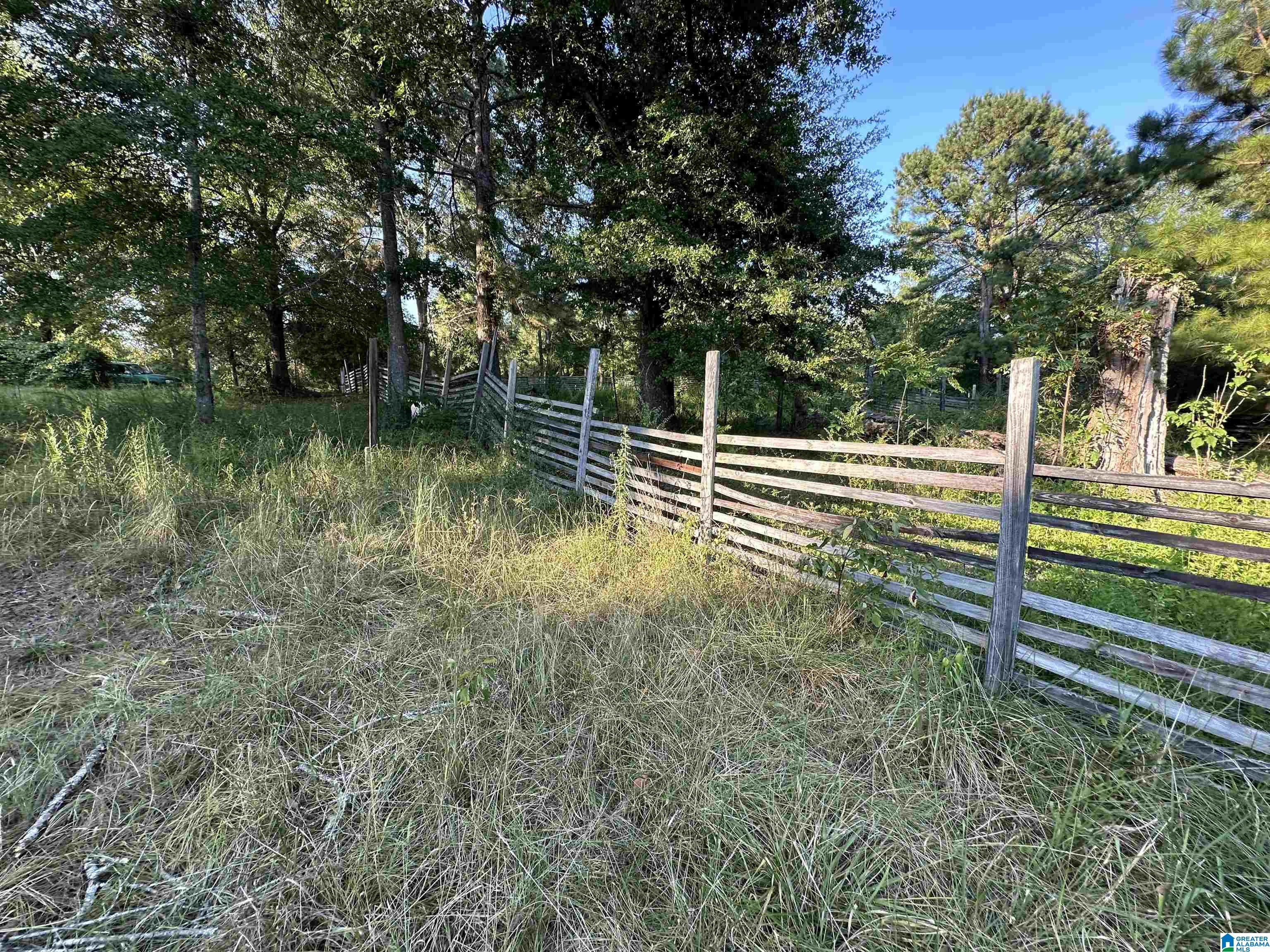 0 Honeycut Road Randolph, AL 36792 - Photo 1 of 29
